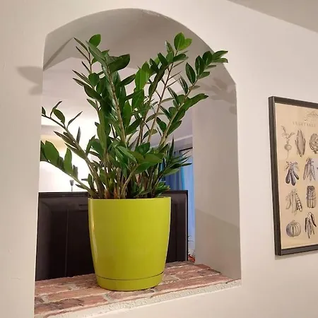 Sweet Dreams Cismigiu Apartamento *