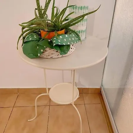 Sweet Dreams Cismigiu Bukarest